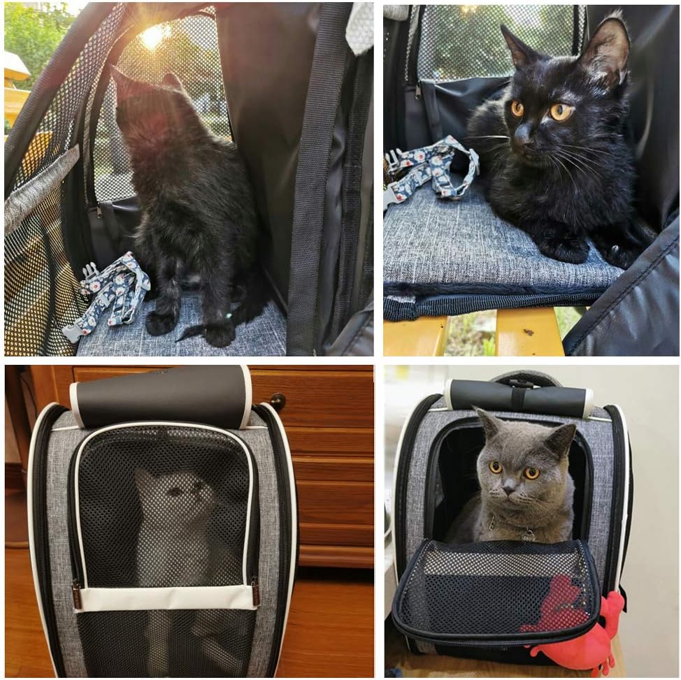 Premium Pet Carrier Backpack with Window Blind for Small Cats and Dogs - Ventilated Design, Safety Straps, Buckle Support, Collapsible, Ideal for Travel, Hiking, Outdoor Adventures, and Veterinary Visits